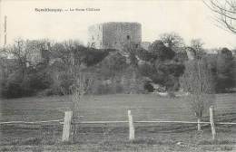 Réf : LP-13-038 : Semblançay Château - Semblançay