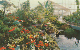 Canada Tropical Aviary Calgary Zoo Alberta - Calgary