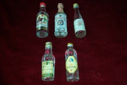 LOT DE 5 MIGNONETTES - Alcools