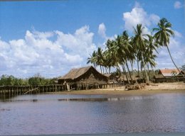 (338) Malaysia - Salt Fish Drying Platform - Malaysia