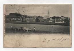 CPA 64  :   ORTHEZ  Panorama   1902        VOIR   DESCRIPTIF  §§§ - Orthez