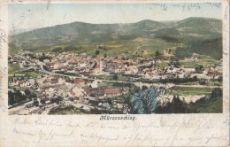 B76466 Austria Steiermark Murzzuschlag 1900 2 Scans - Mürzzuschlag