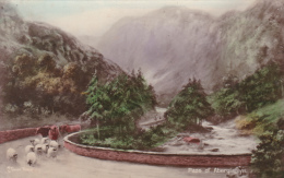 NF1- Hand Coloured Bromide, Pass Of Aberglaslyn (Afon Glaslyn), Sheep, Publ. Dennis & Sons - Caernarvonshire