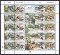 Bosnia Serbia 2005 Fauna, Snakes, Reptiles, Mini Sheet Of 5 Sets In Strip MNH - Serpents
