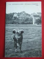 95 - AUVERS SUR OISE - UN REGARD SYMPATIQUE - UNE  VACHE AU PRE .... - Auvers Sur Oise