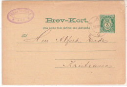 AAS (Norvège): Entier Postal à 5ore Obl. Aas En 1891 - Entiers Postaux