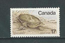 Canada: 699 **  Tortue - Schildpadden