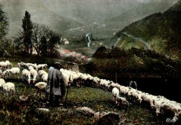 CPSM  CHATILLON EN DIOIS   Un Troupeau Communal Dans Les Montagnes ,en Bas  Le Village   Et Ses Environs - Châtillon-en-Diois