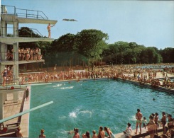 (616) Netherlands Swimming Pool - Natation