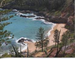 1 X Ile De Norfolk - Norfolk Island - Anson Bay - Norfolk Island