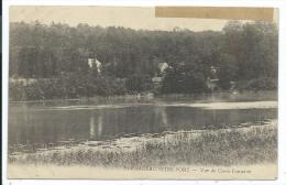 CPA -SAINT FARGEAU SEINE PORT -VUE DE CROIX FONTAINE -Seine Et Marne (77) -Circulé 1917 - Saint Fargeau Ponthierry