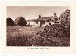 Grande Carte 1950 UNE FERME DANS LE MARAIS BRETON A BEAUVOIR (Vendée) (cliché Papy) - Beauvoir Sur Mer