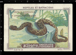 Old Original Swiss Poster Stamp (cinderella, Label) Nestle - Reptiles Amphibians Snake Schlange Rattlesnake - Serpents