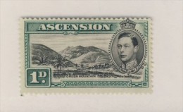 ASCENSION 1938/53 COURANT  SCOTT  N°41  NEUF MLH* - Ascensión