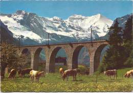 BLS-Lötschbergbahn BLS-Viadukt Bei Frutigen Im Mai - Frutigen