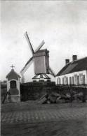 ETTELGEM Bij Oudenburg (W.Vl.) - Molen/moulin - Maxikaart Van De Verdwenen Molen Demonie Vóór 1920 - Oudenburg
