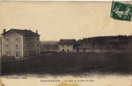 - 43 - MONTFAUCON - La Gare Et Le Bois De Fay - - Montfaucon En Velay