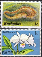 Barbados - Barbades (1966-...)