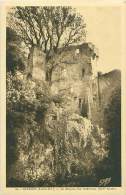 44 - CLISSON - Le Donjon, Vue Intérieure - Clisson