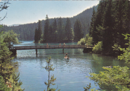 SUISSE,SWITZERLAND,SCHWEIZ,SVIZZERA,HELVETIA,SWISS ,GRISONS,FLEM  ,FLIMS,il Y A 50 Ans,caumasee,pedalo, - Flims