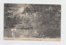 CPA 01 - THOISSEY - Le Collège - La Pièce D'Eau - Cygnes - Dotta Photo - Viersen