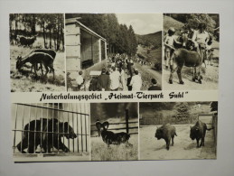 (4/1/68) AK "Suhl" Naherholungsgebiet Heimat-Tierpark - Suhl
