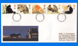 GB 1995-0001, Collection Of 4 FDCs Of The Year , Royal Mail Cachet Cambridge Postmark (4 Scans) - 1991-00 Ediciones Decimales
