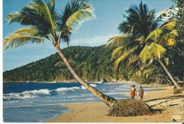 Antilles Plage Des Caraibes Animéecostume D'époque - French Polynesia