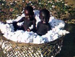La Vie Au Tchad Enfants Saras Dans Un Panier De Coton, Region De KOUMRA Photo A Chaine - Chad