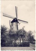 Boechout  Molen - Böchout