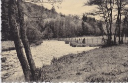 Daverdisse-sur - Lesse  " Hôtel Du Moulin"  Confluent De La Lesse.et De L'Almache. - Daverdisse