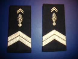 Paire De Fourreaux De La Gendarmerie - Divise