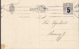 Denmark Postal Stationery Ganzsache Entier 5 Ø Auf 3 Ø Wellenlinien (45-C) KØBENHAVN 1919 (2 Scans) - Postal Stationery