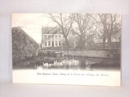 Bois-Seigneur-Isaac. Etang De La Ferme De L'Abbaye Des Moines. - Eigenbrakel