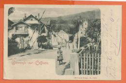 FEL522, Geneveys - Sur - Coffrane, Gare, Brasserie, Restaurant, Passage à Niveau, Animée, 140, Précurseur, Circulée 1899 - Coffrane