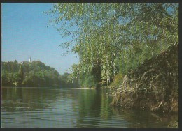 LAUFFOHR Aare Aargauischer Bund Für Naturschutz Aarau Brugg - Aarau