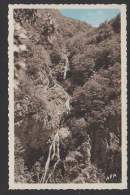 DF / 30 GARD / VALLERAUGUE / MONT-AIGOUAL / CASCADE DE L' HERAULT - Valleraugue