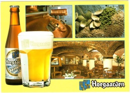 Brasserie De Kluis - Hoegaarden - & Beer - Hoegaarden