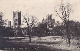 NF4 - 1947 Ely Cathedral Form The Park Publ; The Walsingam, Photo G.H. Tyndall, Ely (local) - Ely