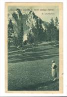 VER2914 - ROMA 1942 , Conca In Vivo Smeraldo Tra Foschi Passaggi Dischiuse . Viaggiata - Panoramic Views