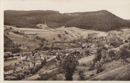 Allemagne - Alpirsbach Im Schwarzwald - Panorama - Alpirsbach