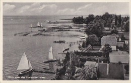 Allemagne -  Blick über Das Steinhuder Meer - Strand Hotel Steinhude - Bâteaux Voiliers - Steinhude