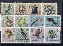 POLOGNE 1963 GRENOUILLES-REPTILES  YVERT  N°1259/0   NEUF MNH** - Kikkers