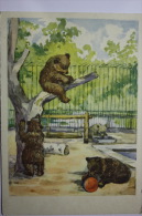 BEAR CUBS IN LENINGRAD ZOO. OLD USSR PC 1956 - Ours