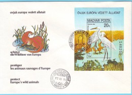 FDC HONGRIE MAGYAR POSTA OISEAUX AIGRETTES 1980 / MNH** / BN 154 - Storchenvögel