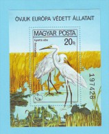 HONGRIE MAGYAR POSTA OISEAUX AIGRETTES 1980 / MNH** / BN 155 - Picotenazas & Aves Zancudas