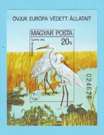 HONGRIE MAGYAR POSTA OISEAUX AIGRETTES 1980 / MNH** Et NON DENTELE / BN 156 - Storchenvögel