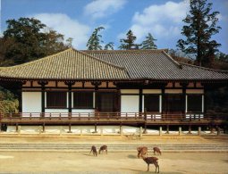 (468) Japan - Hakkedo Temple With Deer - Bouddhisme