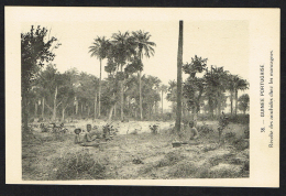 GUINÉ GUINÉE PORTUGAISE (Guinea Bissau) - Recolte Des Arachides Chez Les Mancagnes - Guinea Bissau