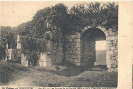 BRETAGNE - 22 - COTES D'ARMOR - TONQUEDEC -  Château - Ruines De La Grande Salle - Tonquédec